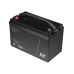 Batteria per Gruppo di Continuità UPS Green Cell AGM30 100 Ah 12 V