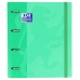 Biblioraft Oxford Touch Europeanbinder Mentă A4 A4+