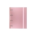 Ring binder Carchivo Carpeblock Pink A4