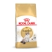 Hrana za mačke Royal Canin Ragdoll Adult Odrasli 2 Kg