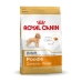 Foder Royal Canin Poodle Adult Voksen Kylling 1,5 Kg