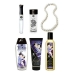 Large Tilfredsstillelse Kit Shunga Carnal Pleasures (6 pcs)