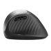 Mouse Ergonomico Ottico Ewent ew3229 Nero/Grigio