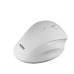 Ergonomic Optical Mouse Nilox NXMOWI3002 White 3200 DPI