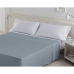 Lenzuolo Superiore Alexandra House Living Acciaio Grigio Acciaio 220 x 280 cm