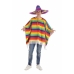 Kostuums voor Volwassenen Arcoiris Poncho L