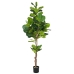 Decoratieve plant Polyurethaan Cement Vijgen 200 cm