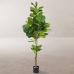 Decorative Plant Polyurethane Cement Fig Tree 200 cm