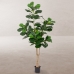 Plantă decorativă Poliuretan Цимент Fig 175 cm