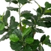 Pianta Decorativa Poliuretano Cemento Ficus 175 cm