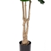 Dekoratiivne Taim Polüuretaan Tsement Viigipuu 175 cm