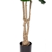 Dekorationspflanze Polyurethan Zement Ficus 175 cm