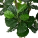 Pianta Decorativa Poliuretano Cemento Ficus 175 cm