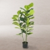 Dekorativna rastlina Poliuretan Cement Fikus 120 cm