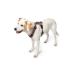 Arnês para Cães Hunter Maldon Up Cor de Rosa 46-82 cm S/M