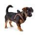 Arnês para Cães Hunter Comfort Cor de Rosa XS/S 37-42 cm