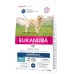 Fôr Eukanuba Daily Care Overweight Voksen Kylling Tyrkia 12 kg