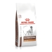 Foder Royal Canin Intestinal Vuxen Fåglar 1,5 Kg