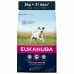 Foder Eukanuba Mature Voksen Kylling 3 Kg