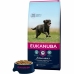 Foder Eukanuba Voksen Kylling 15 kg