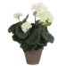 Dekoratiivne Taim Mica Decorations PVC Geraanium