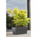 Cache-pot Deroma Gris foncé 35 x 79 x 35 cm 75 L