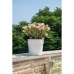 Planter Deroma Hvit 48 x 43 cm 58 L