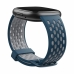 Smartwatch Fitbit Albastru