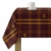 Antiflekk-harpiksduk Harry Potter Gryffindor Flerfarget 200 x 150 cm