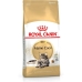 Kaķu barība Royal Canin Pieaugušais 4 Kg Cālis