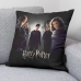 Fodera per cuscino Harry Potter Dumbledore's Army Nero Multicolore 50 x 50 cm