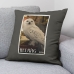 Fodera per cuscino Harry Potter Hedwig Multicolore 50 x 50 cm