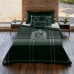 Noorse hoes Harry Potter Classic Slytherin 200 x 200 cm Bed van 120