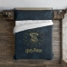 Funda Nórdica Harry Potter Dormiens Draco 140 x 200 cm Cama de 80