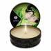 Vela de Massagem Shunga 9046114 Chá Verde 30 ml