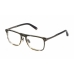 Glasögonbågar PHILIPP PLEIN VPP019M-5309N3-21G Brun Ø 53 mm