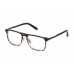 Heren Brillenframe PHILIPP PLEIN VPP019M-530XAS-21G Grijs Ø 53 mm