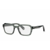 Heren Brillenframe PHILIPP PLEIN VPP083M-5209RM-22G Grijs Ø 52 mm