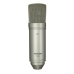 Microphone Tascam TM-80 Or