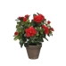 Decoratieve plant Mica Decorations 10,5 x 21,5 x 15 cm Azalea