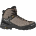 Bottes de montagne Salewa Gris