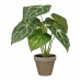 Decoratieve plant Mica Decorations Caladium Ø 21 x 28 cm Kunstmatig