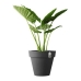 Plant pot Elho 8403604042500 Anthracite Ø 40 cm