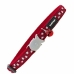 Kattenhalsband Rood 20-32 cm