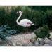 Dekorativ hagefigur Ubbink Harpiks Rosa flamingo