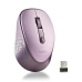 Mouse NGS DEWLILAC Liliachiu