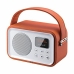 Draagbare Bluetooth Radio Sunstech RPBT450OR Oranje