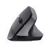 Souris Trust 25145 Noir