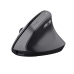 Souris Trust 25145 Noir