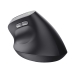 Souris Trust 25145 Noir